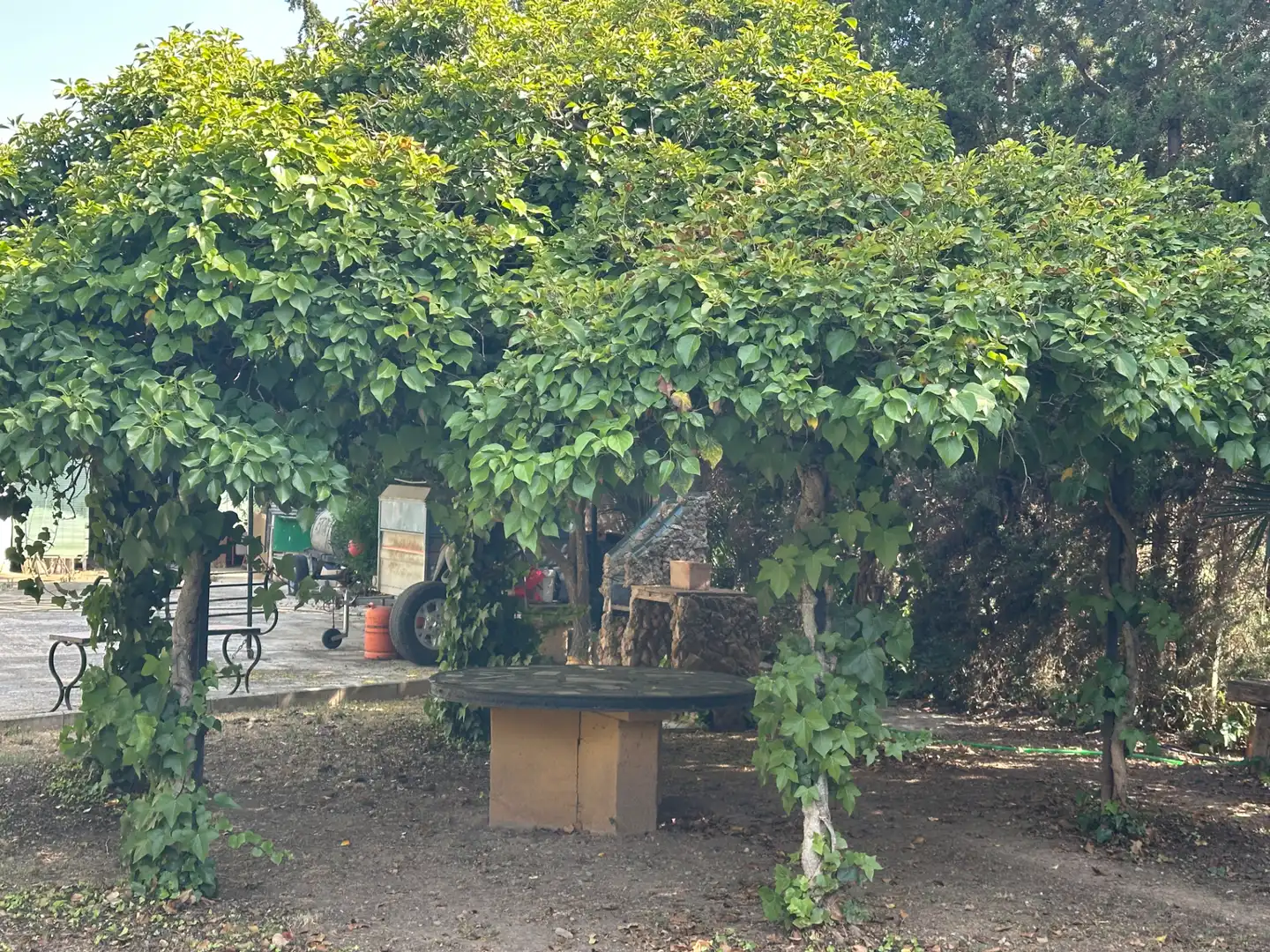 Lands and plots for sale in Centro, imagen 38