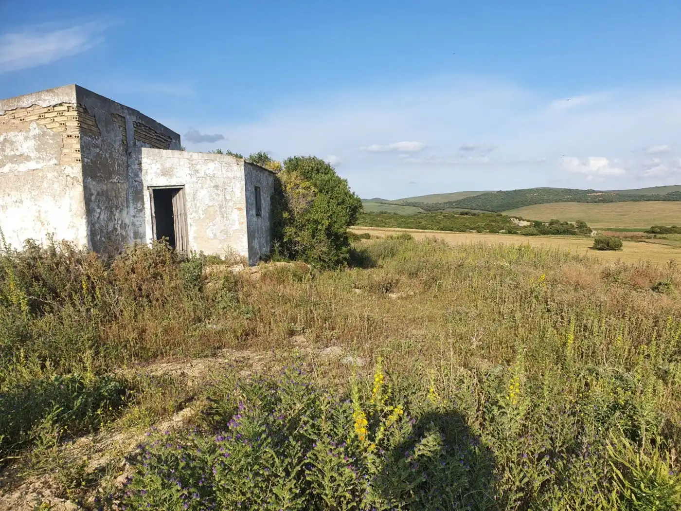 Terrenys i solars en venda a Medina Sidonia, imagen 13