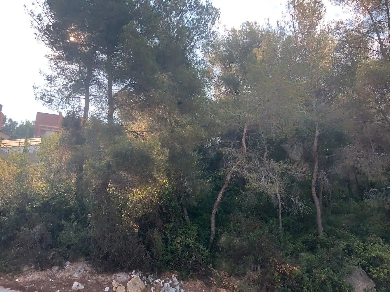 Wohnbaugrundstück zum Verkauf in La Móra, imagen 4
