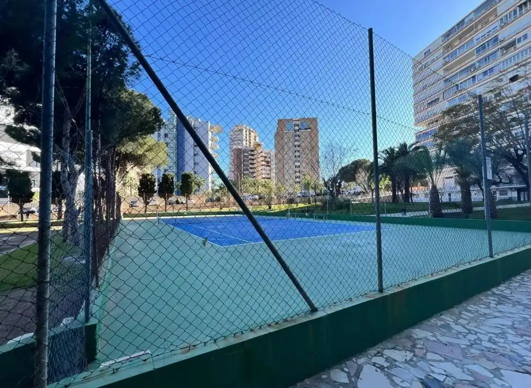 Piano terra con piscina in affitto a Playa de San Juan - El Cabo de las Huertas, imagen 12