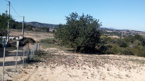 TERRENO RUSTICO SECANO TURIS VALLADO, immagine 5