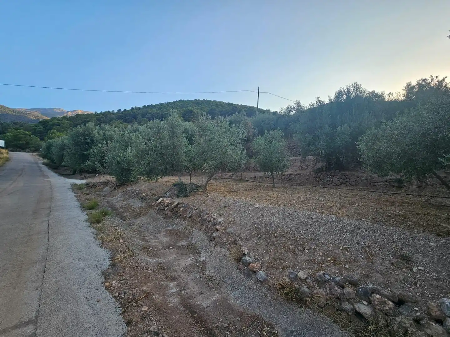 Finca rústica en venda en Fondón