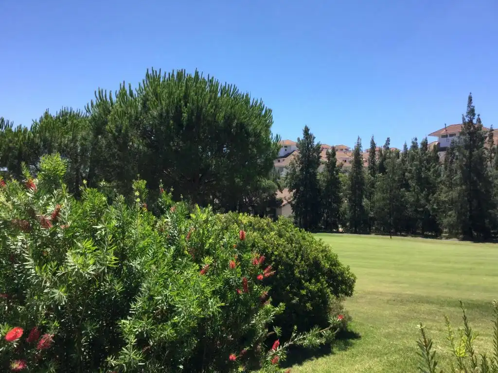 Reihenhaus zur Miete in El Portil, imagen 20
