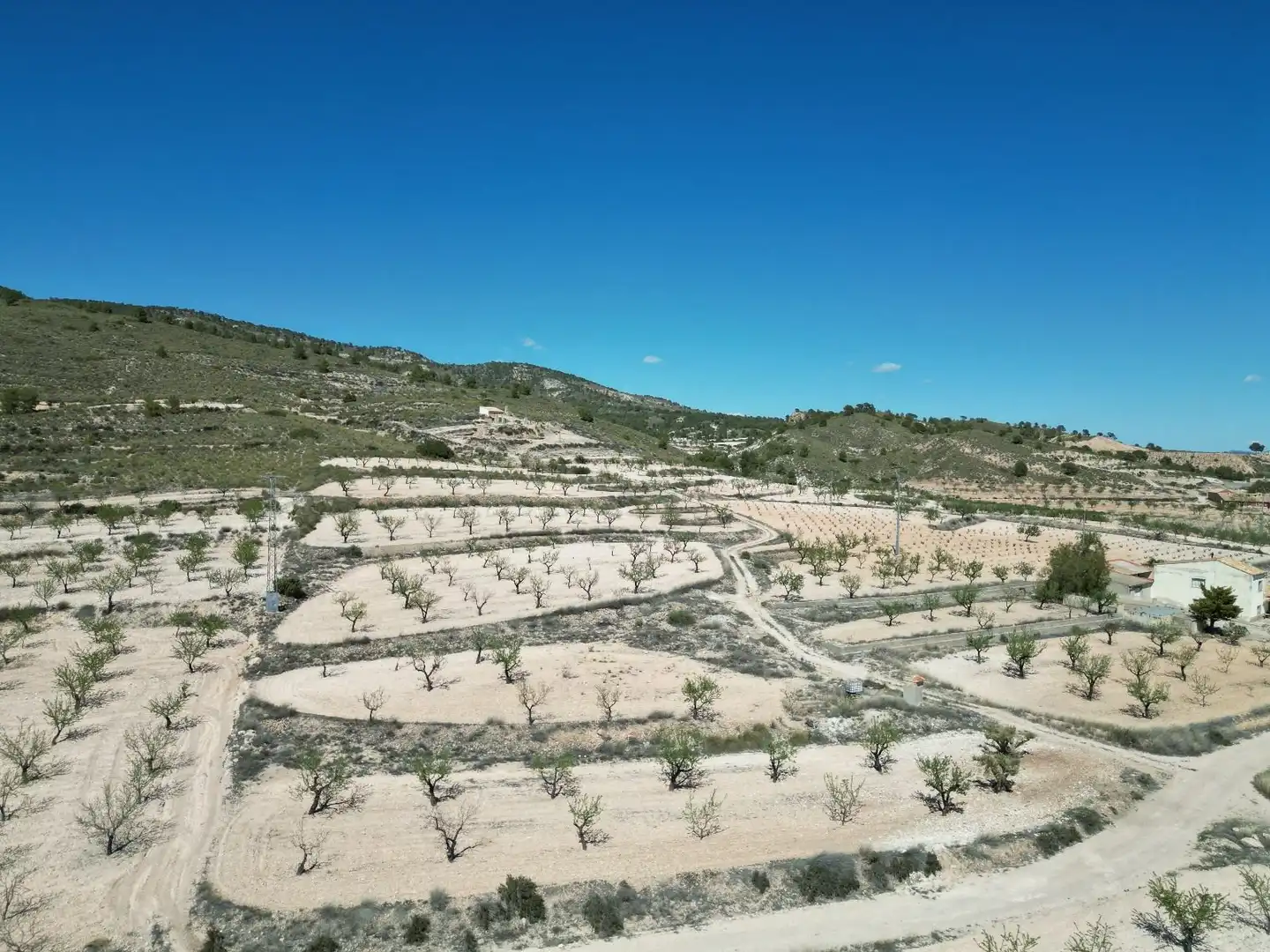 Terreny residencial en venda a Jumilla, imagen 6