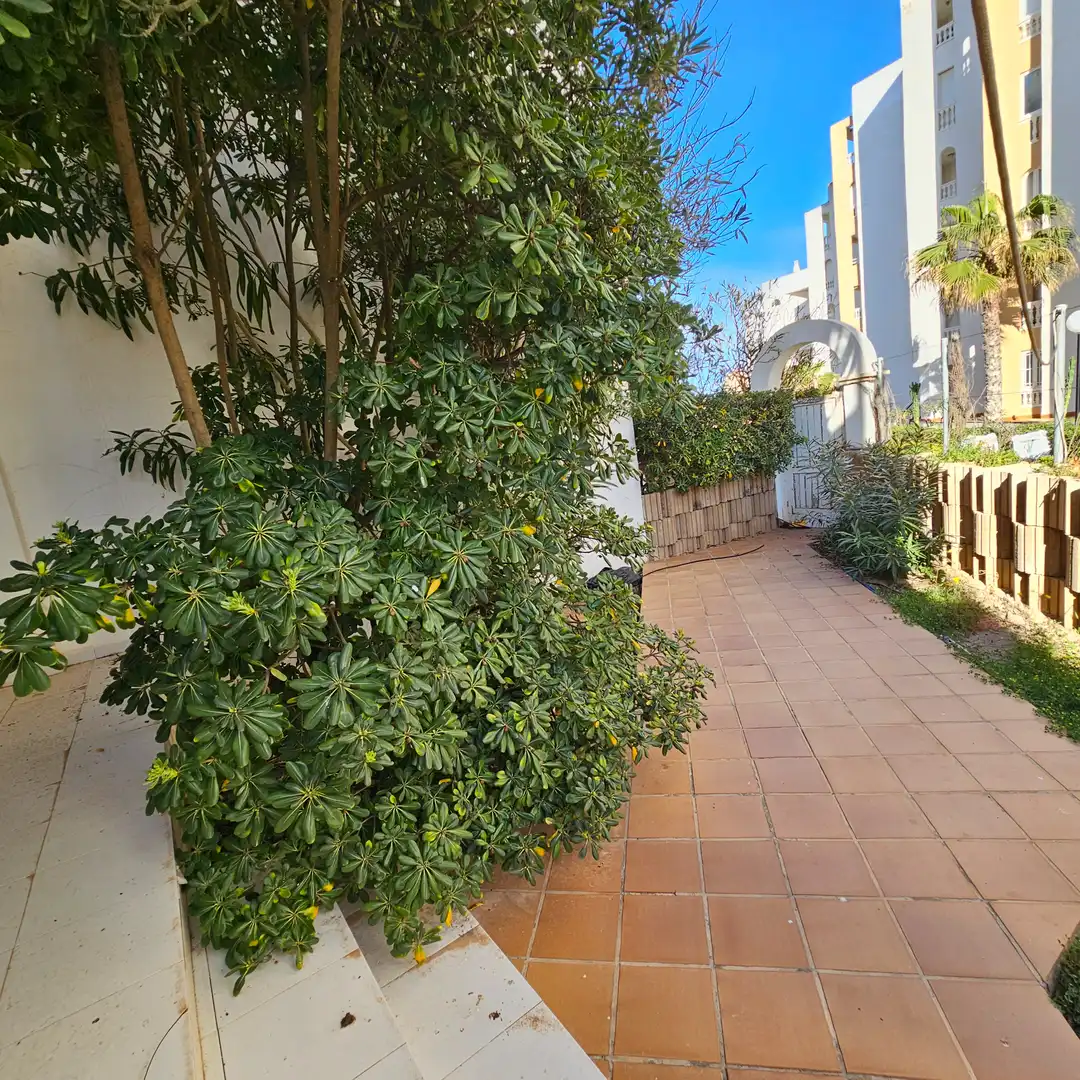 Jardí de Casa adosada en venda en La Manga del Mar Menor amb Jardí privat, Terrassa i Moblat