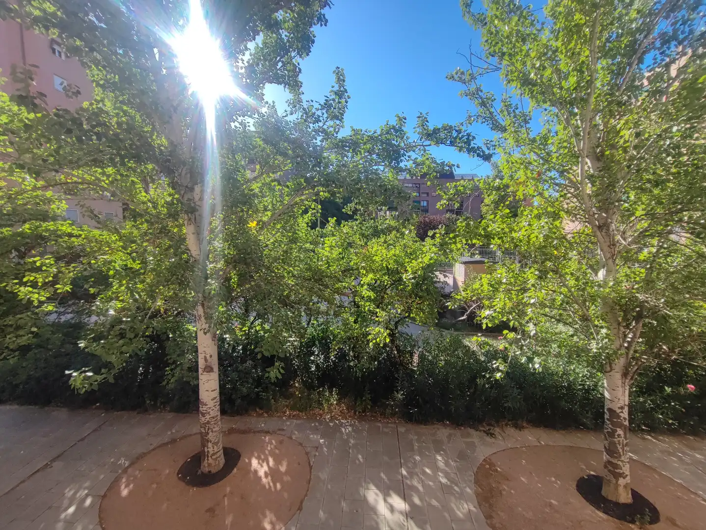 Jardín de Piso en venta en Madrid con Aire acondicionado, Calefacción y Jardín privado