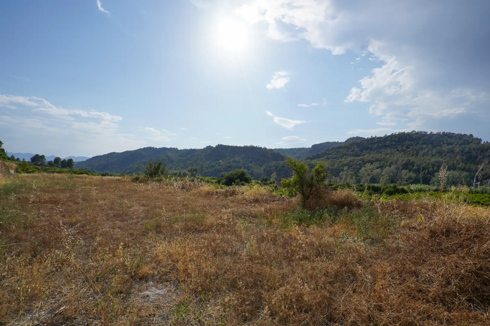 Terrain rustique à vendre à Benifallet, imagen 29