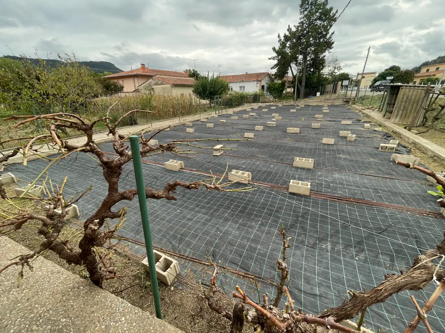 Detached house with garden for sale in Amer, imagen 7