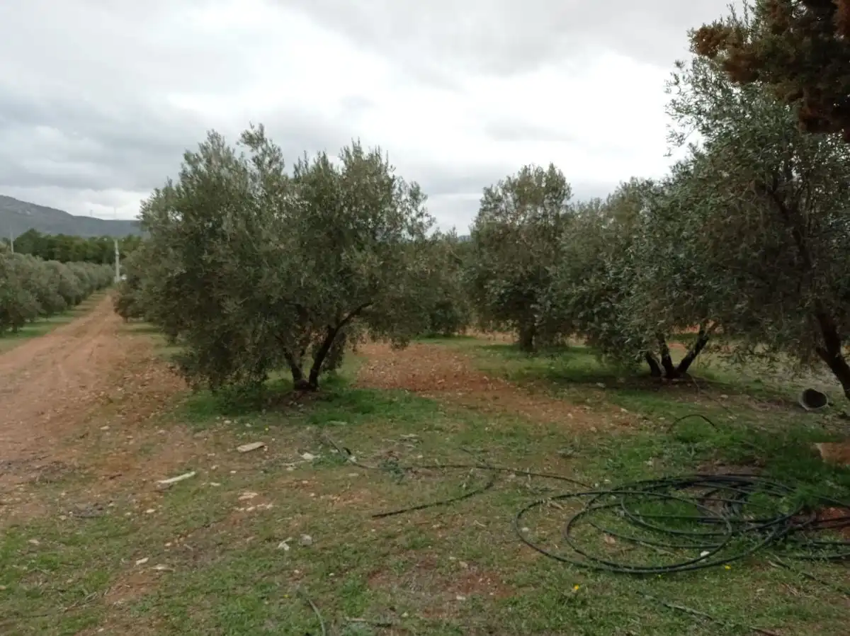 Casa rústica amb piscina en venda a Valdepeñas