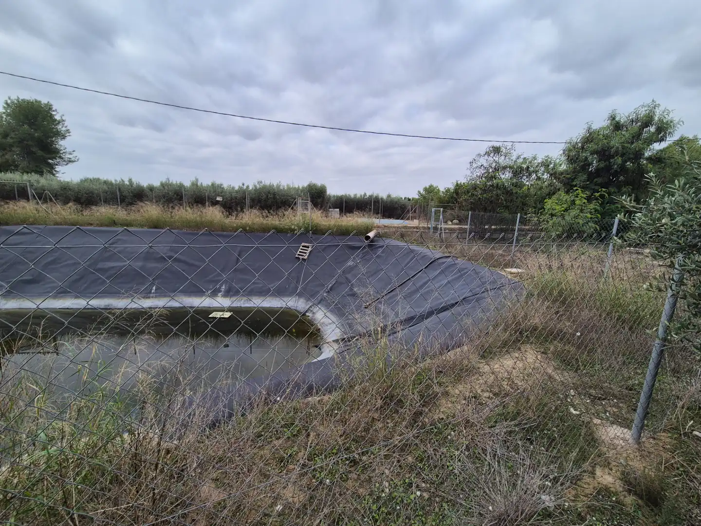 Piscina de Finca rústica en venda en Las Torres de Cotillas amb Jardí privat, Terrassa i Traster