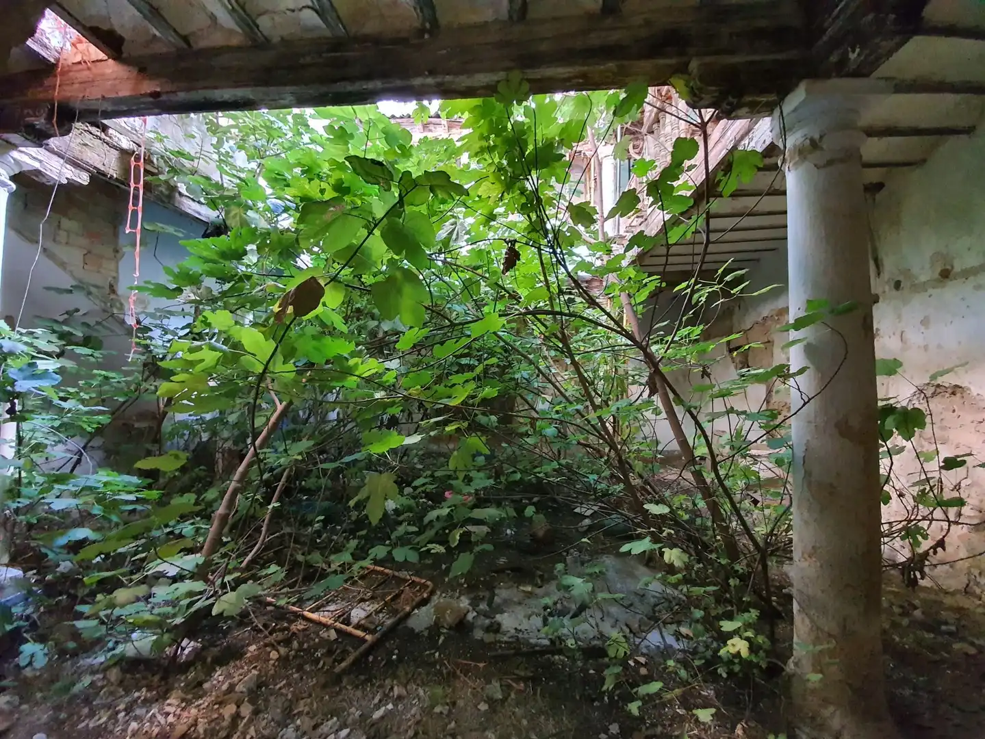 House with garden for sale in Plaza San Pedro, imagen 20