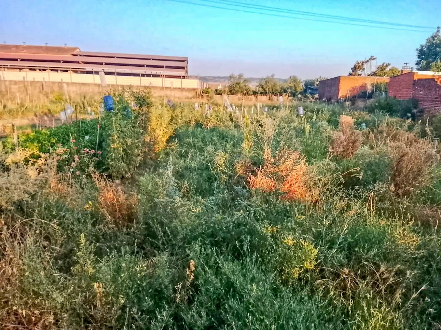 Terreno residenziale in vendita a Ur La Morena 8, imagen 21