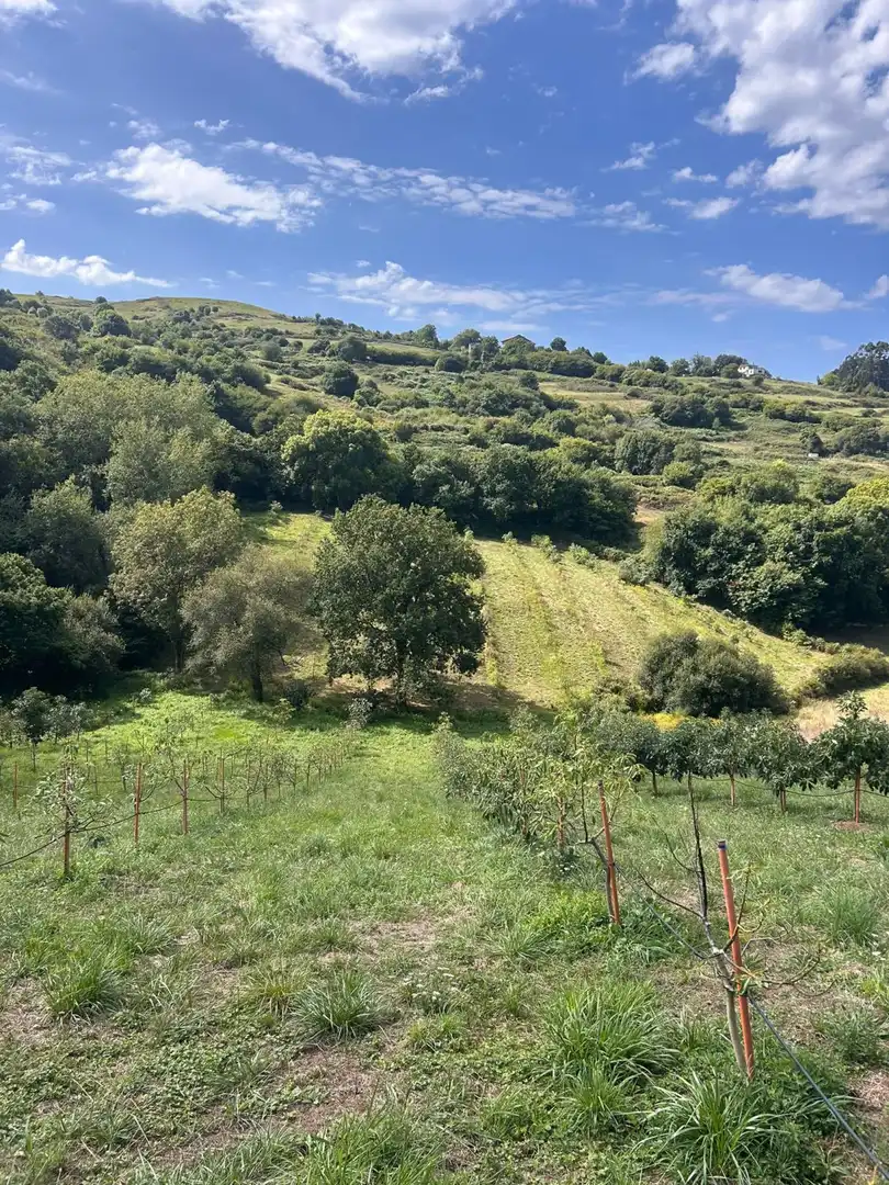 Country house zum Verkauf in El Callejo - La Pesquera - La Arenosa 