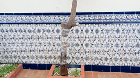 Photo 3 of Loft to rent in Calle Hispanidad, Centro,  Melilla Capital