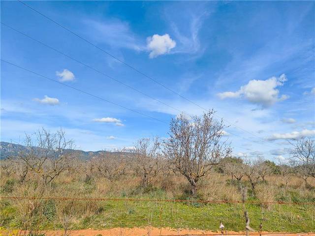 Terreno en Venta en Son Sardina