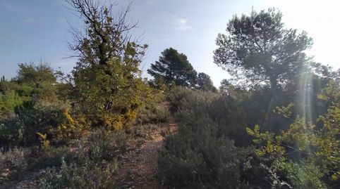 Se vende terreno de secano en Llíria.  HH Asesores, Inmobiliaria en Burjassot, imatge 5