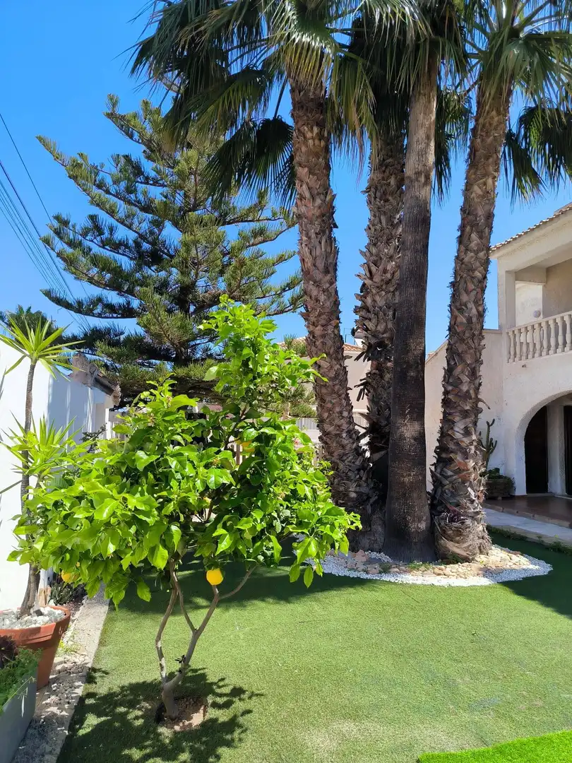 Jardín de Casa adosada en venta en Orihuela con Aire acondicionado, Calefacción y Jardín privado
