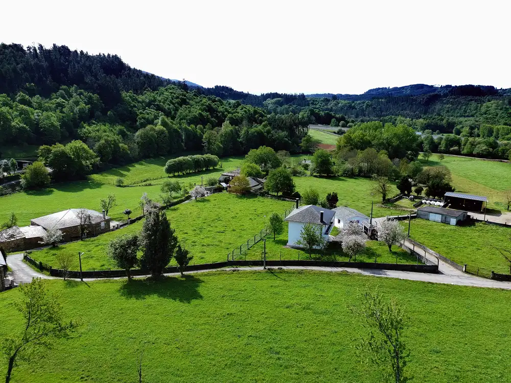 Casa o xalet en venda en Baralla amb Calefacció, Jardí privat i Terrassa