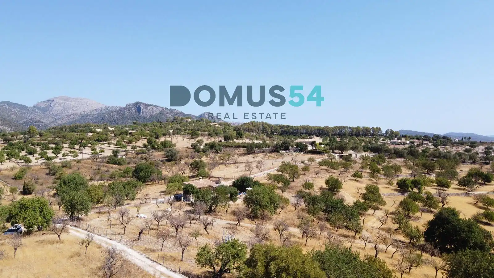Land for sale in Selva