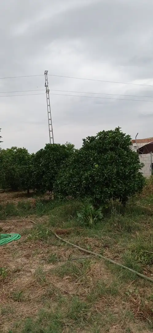 Terreny rústic en venda a La Algaba, imagen 7