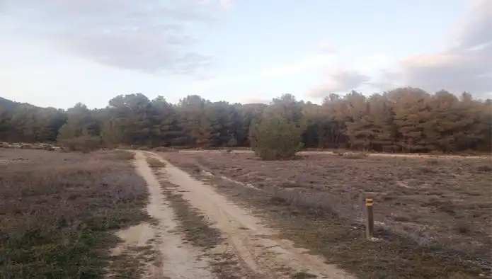 Terreny rústic en venda a Pt Arciseco, Cañadas del Arciseco y Casas del Carrasco, imagen 6