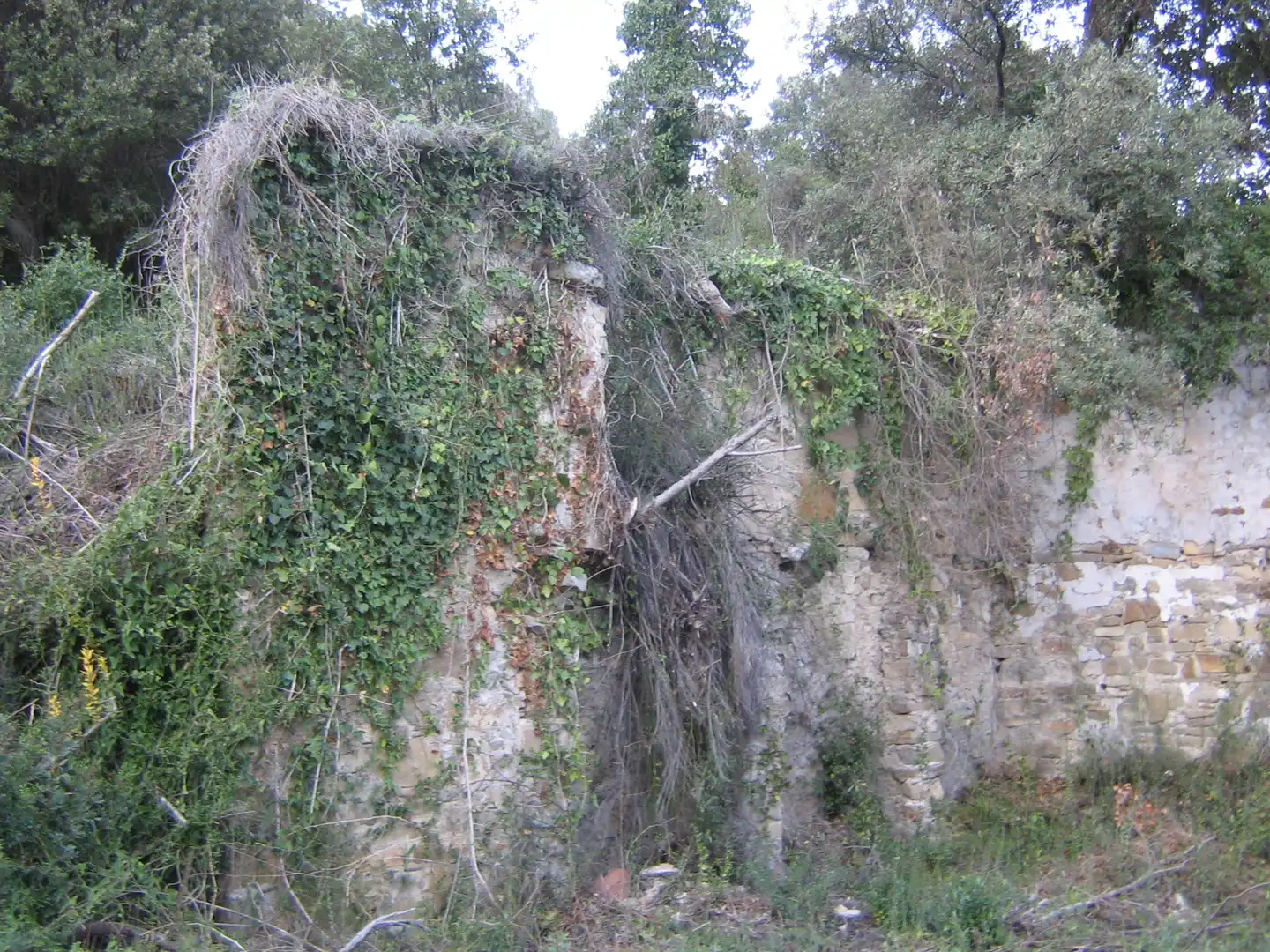 Rural land for sale in Montagut i Oix, imagen 7