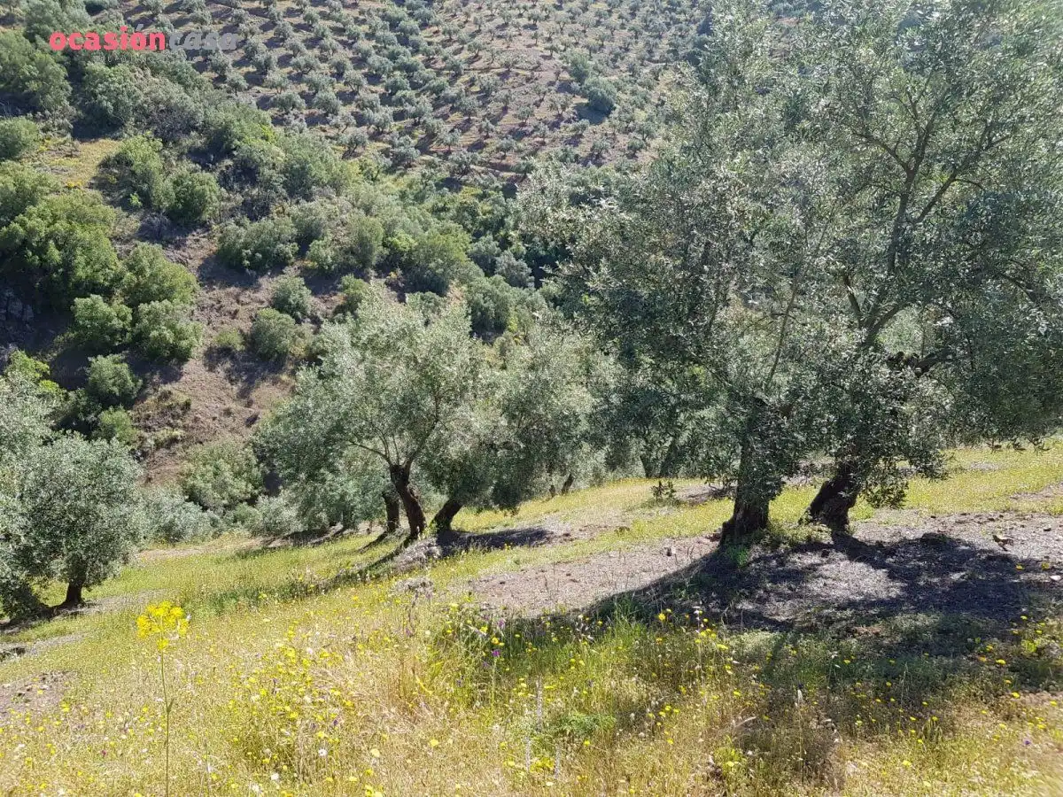 Finca rústica en venta en Villanueva de Córdoba con Jardín privado, Trastero y Amueblado