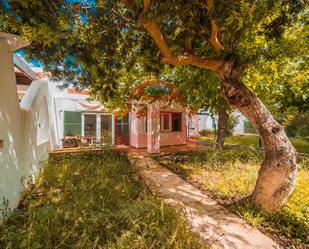 Jardí de Casa o xalet en venda en Ciutadella de Menorca amb Aire condicionat, Jardí privat i Terrassa