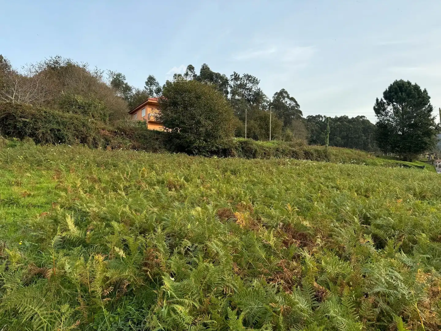 Terreno rústico en venta en Bembrive, imagen 23