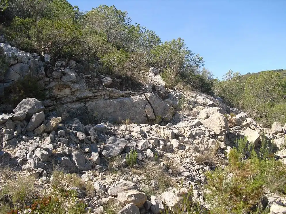 Rural land for sale in C/ Isla Mancolibre, imagen 9