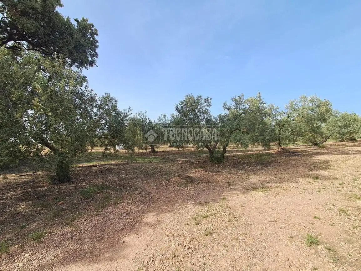 Terreno rustico in vendita a Carmona, imagen 9