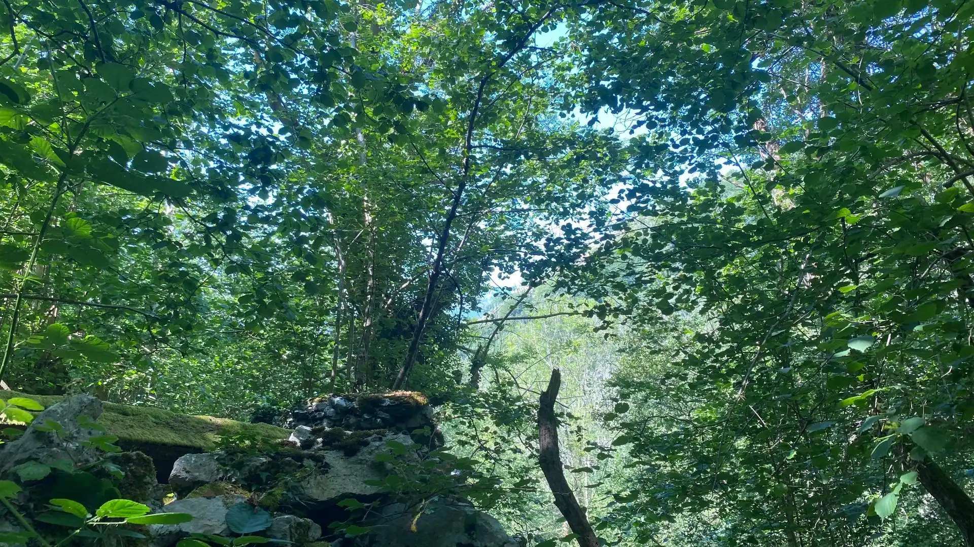 Terreno rustico in vendita a SEGÜENCO, imagen 19