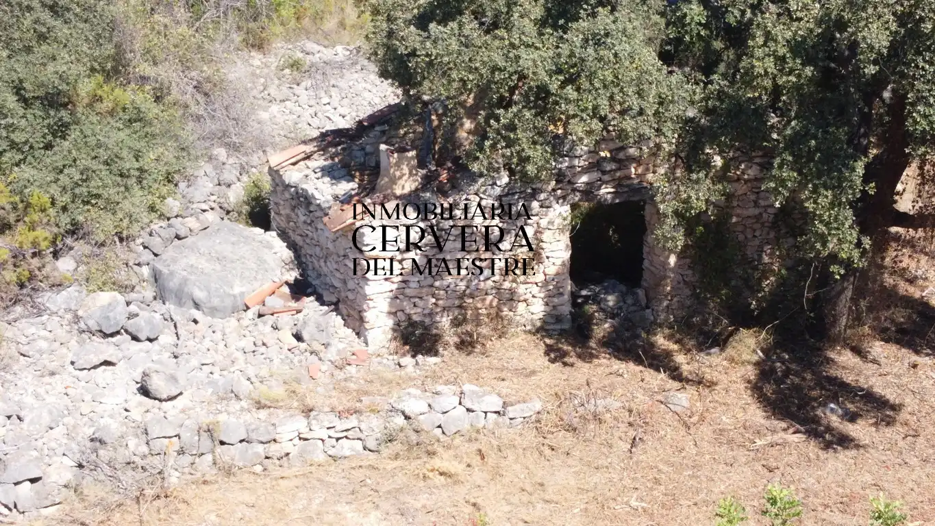 Terreno rustico in vendita a Cervera del Maestre, imagen 4