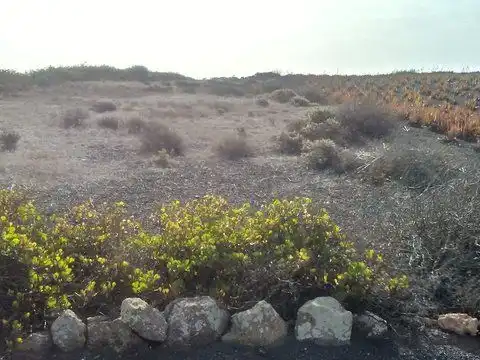 Terreno en venta en Haría
