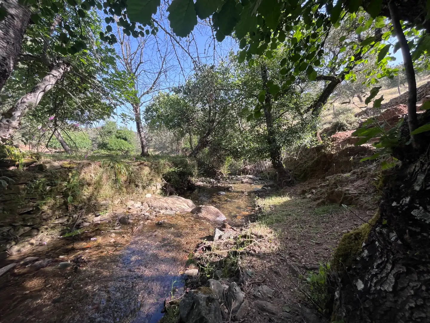 Terrenos y solares en venta en Plaza de Corterrangel, imagen 19