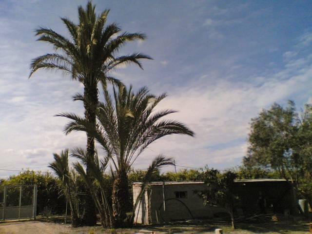 Terreno en Venta en Llano de Brujas