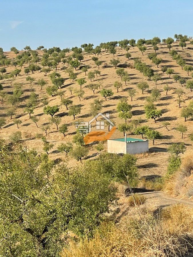 Finca rústica en venta en Vélez-Rubio