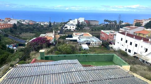 Foto 5 de Finca rústica en venta en La Vega - El Amparo - Cueva del Viento, Icod de los Vinos
