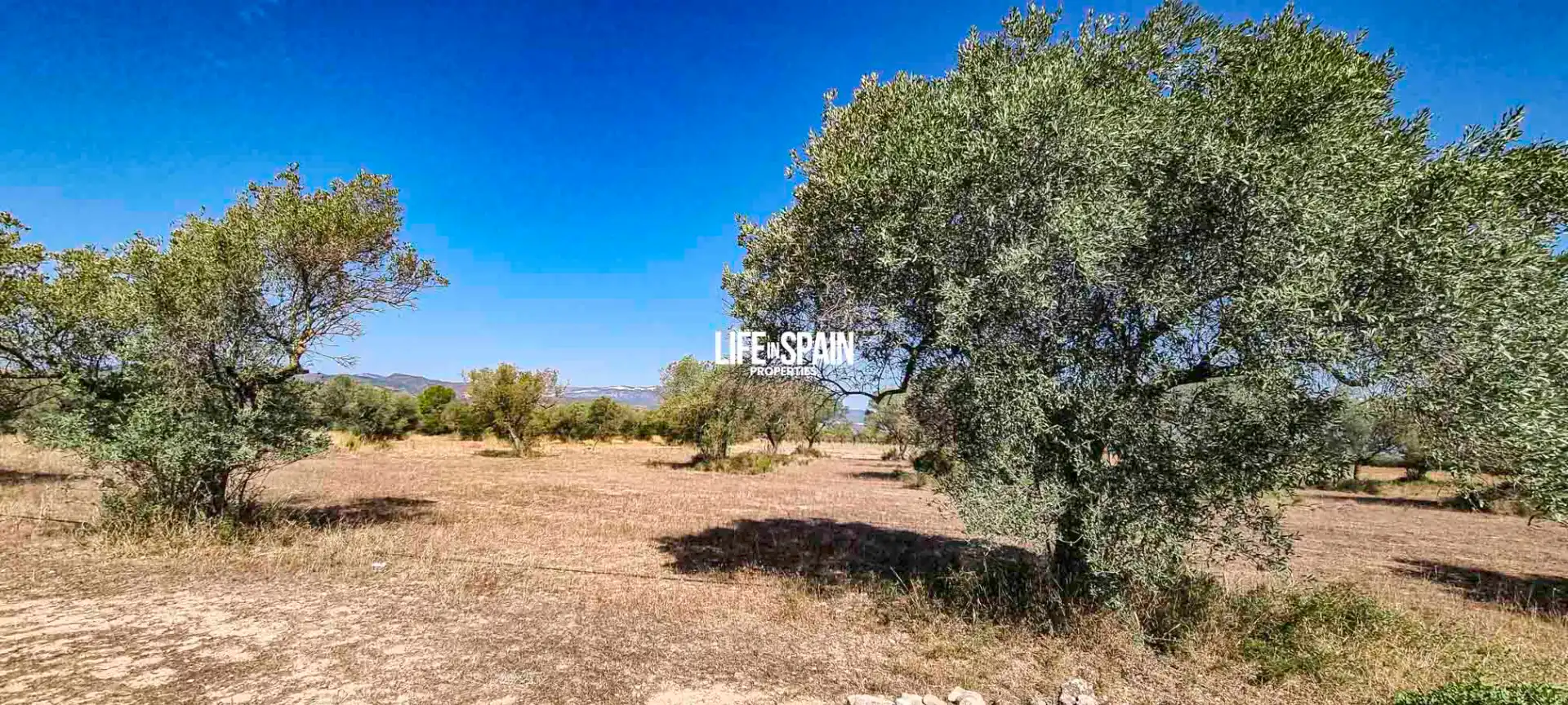 Maison rustique à vendre à Ginestar, imagen 12