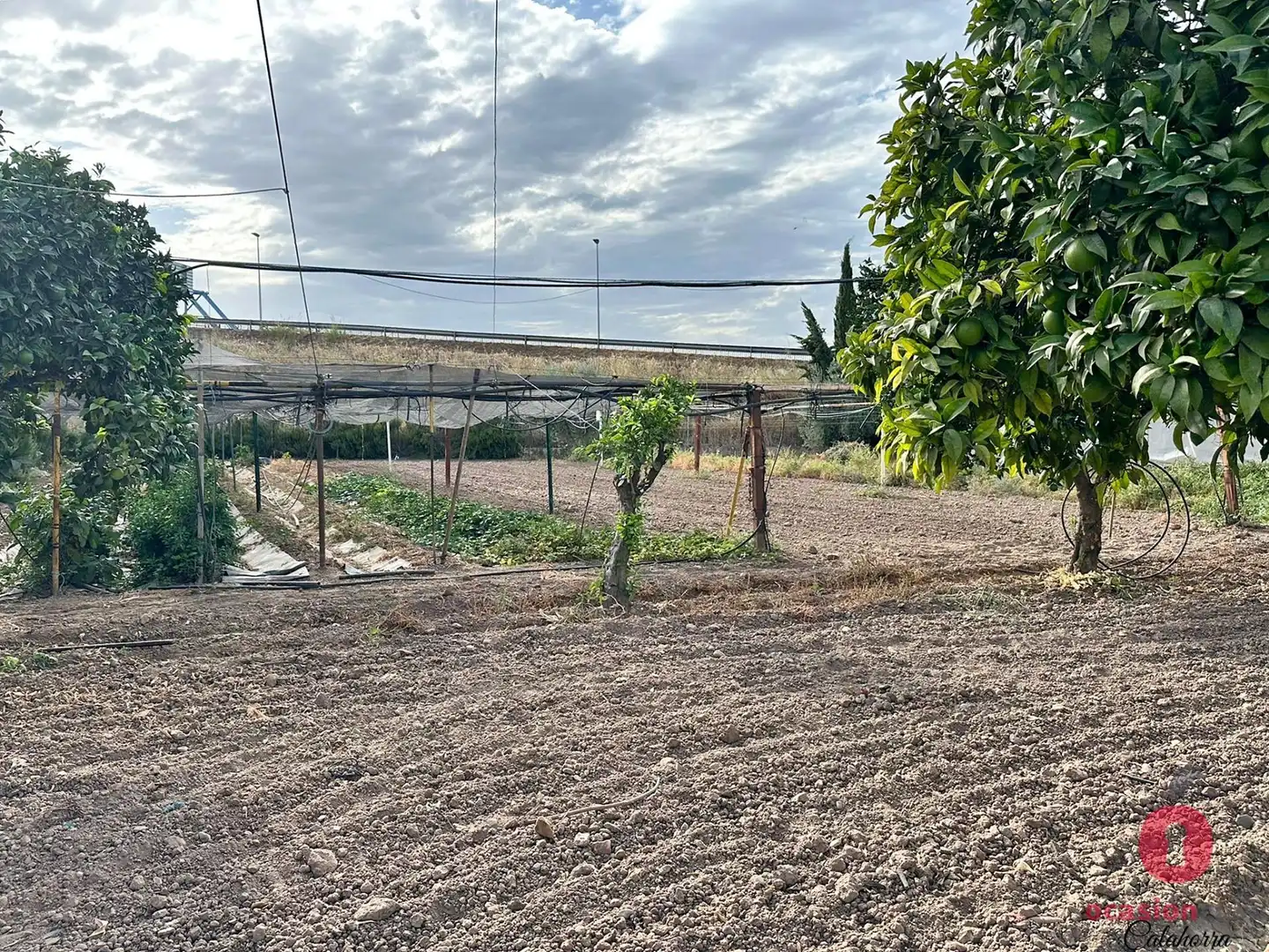 Finca rústica en venda en Córdoba amb Jardí privat, Terrassa i Traster
