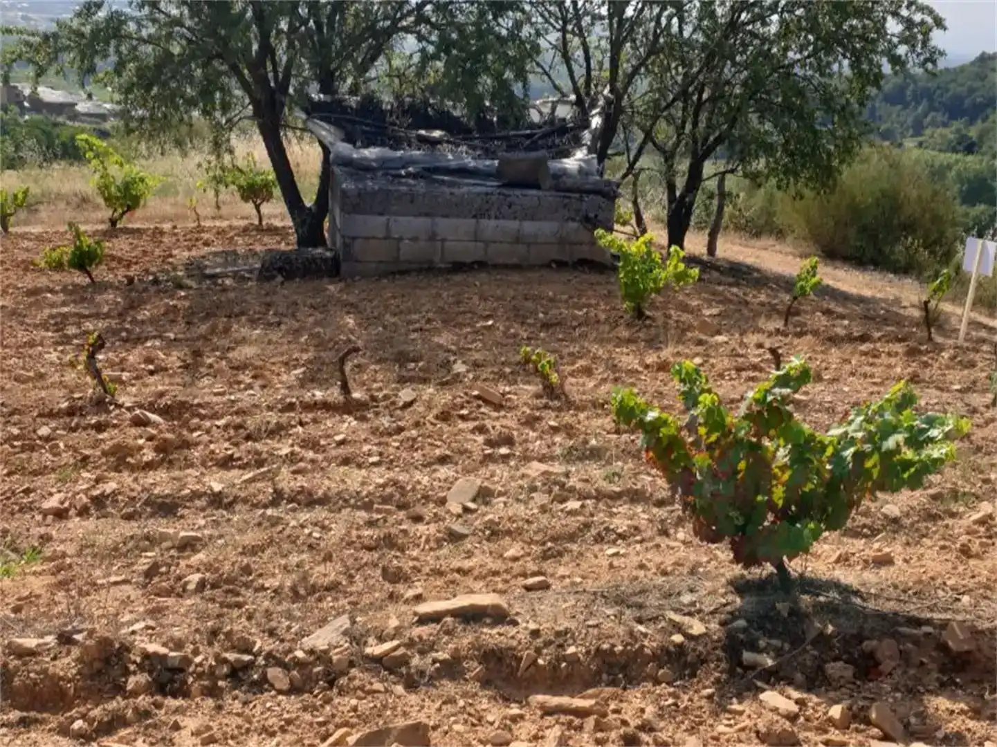 Planta baja en venta en Cacabelos con Amueblado