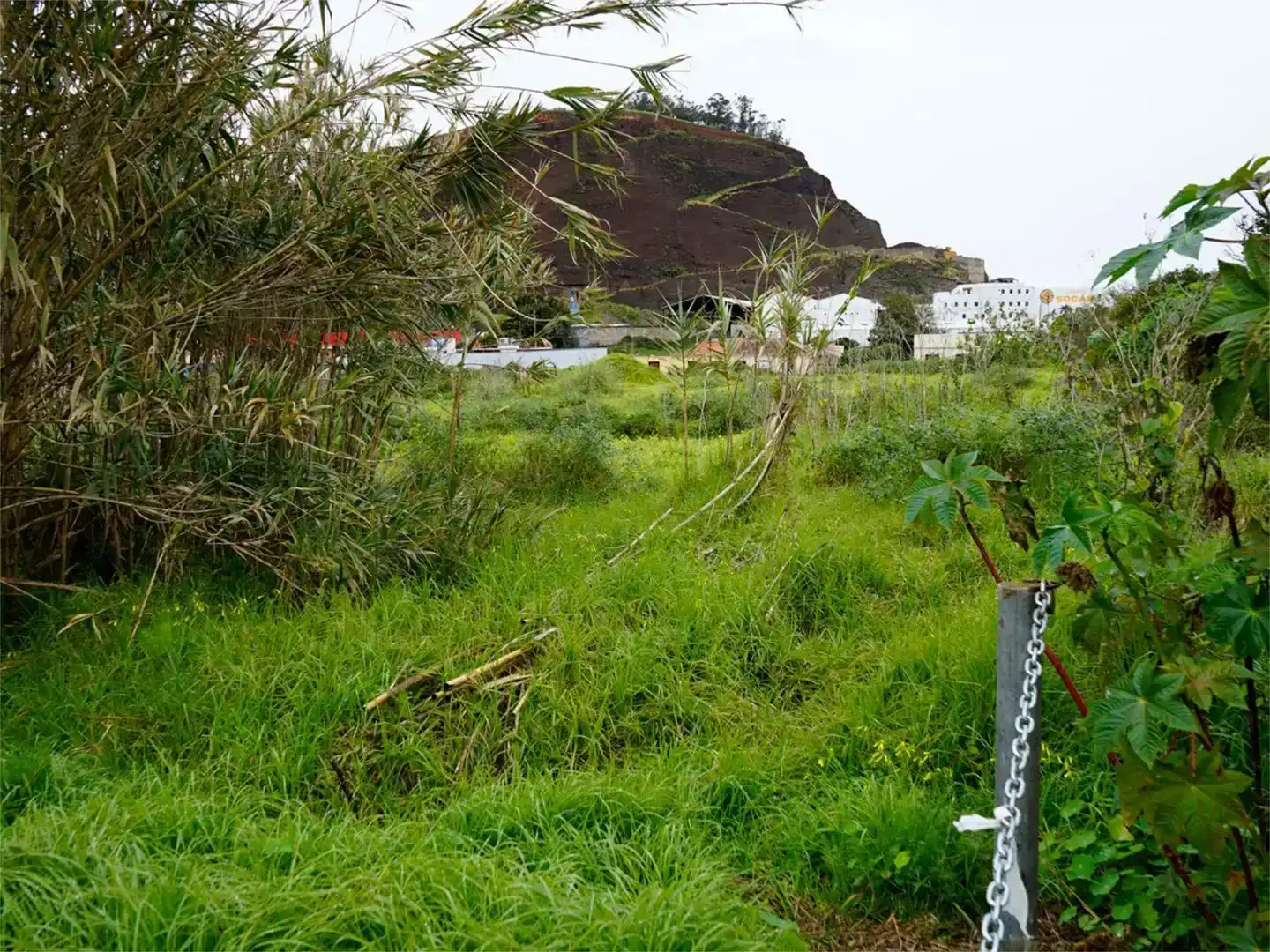 Industrial land for sale in Tacoronte