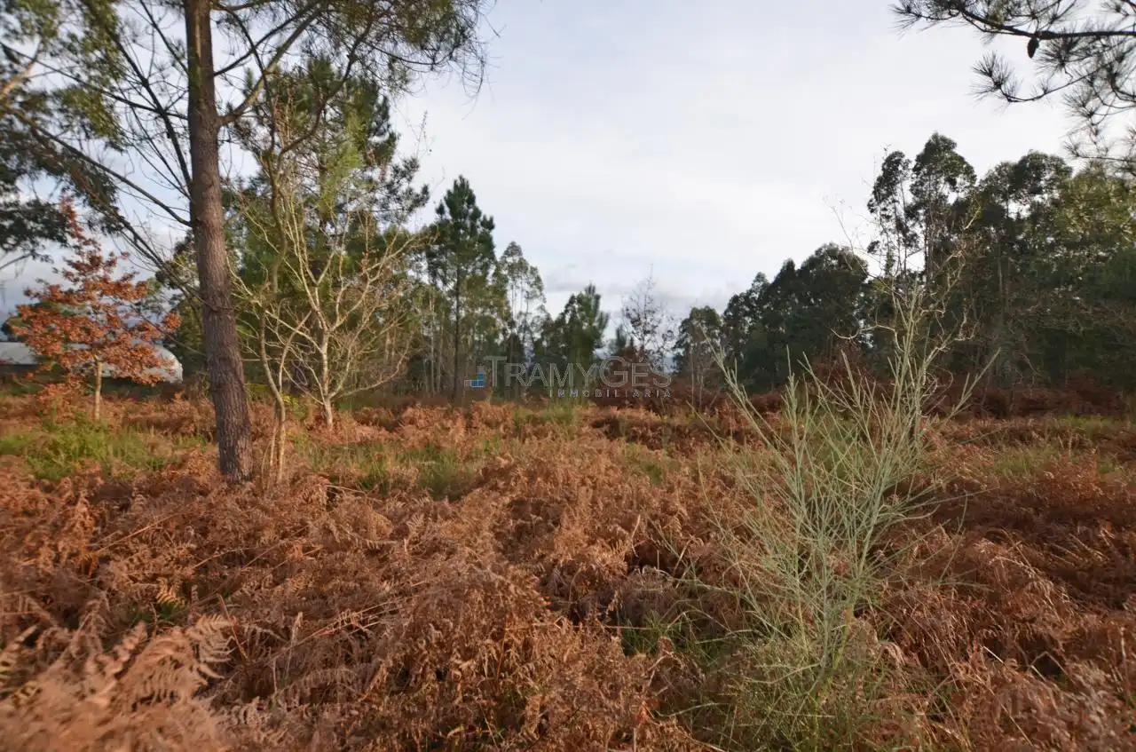 Residential land for sale in LUGAR O MONTE, imagen 31