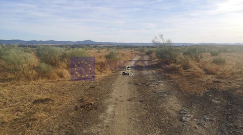 FINCA GANADERA DE UNAS 270 HECTÁREAS EN LA ZONA DE ALISEDA, imatge 4