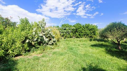Foto 2 de Finca rústica en venda a Castellet i la Gornal, Barcelona