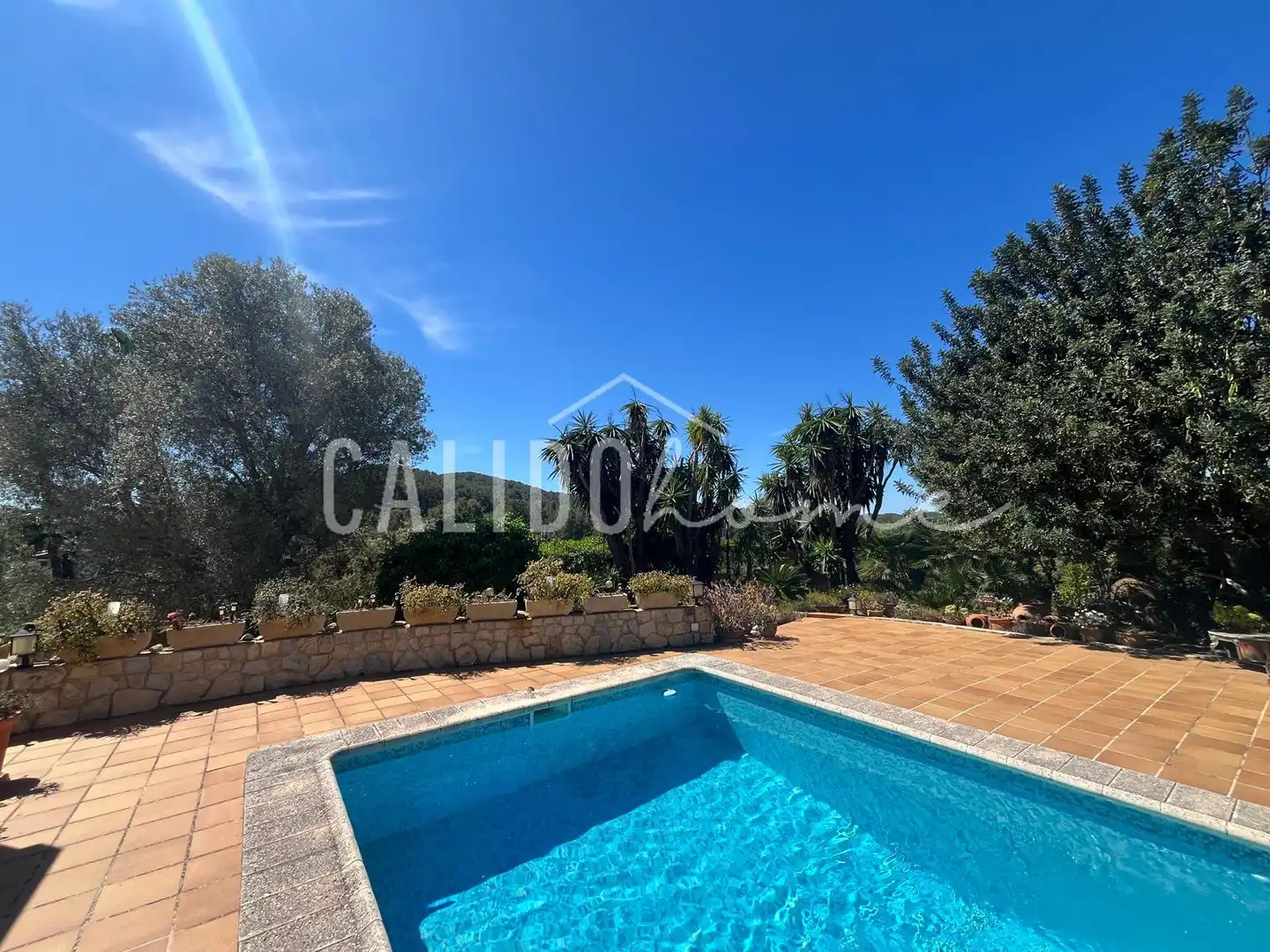 Swimming pool of Country homes for sale in Calvià  with Air Conditioner, Heating and Private garden