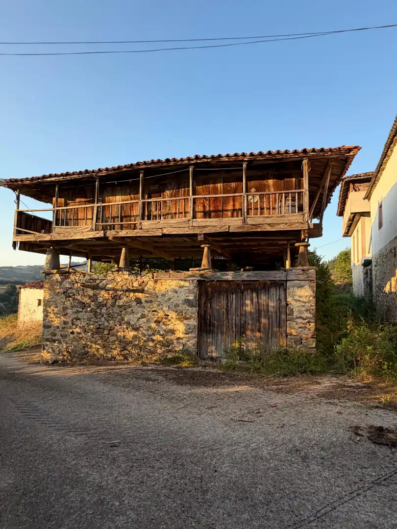 Rural land for sale in Tineo