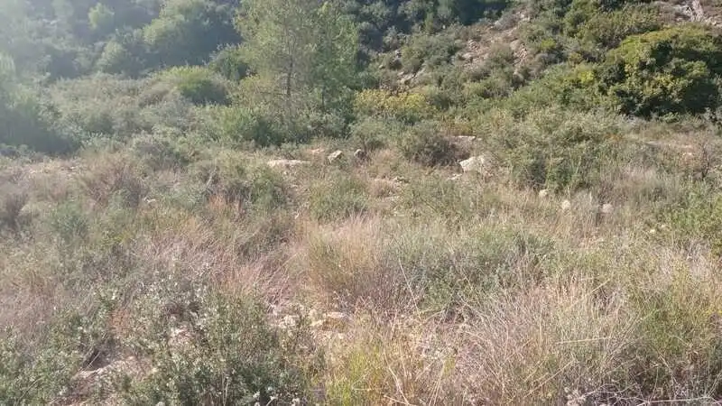 Grundstücke und Bauplätze zum Verkauf in L'Alcora, imagen 12