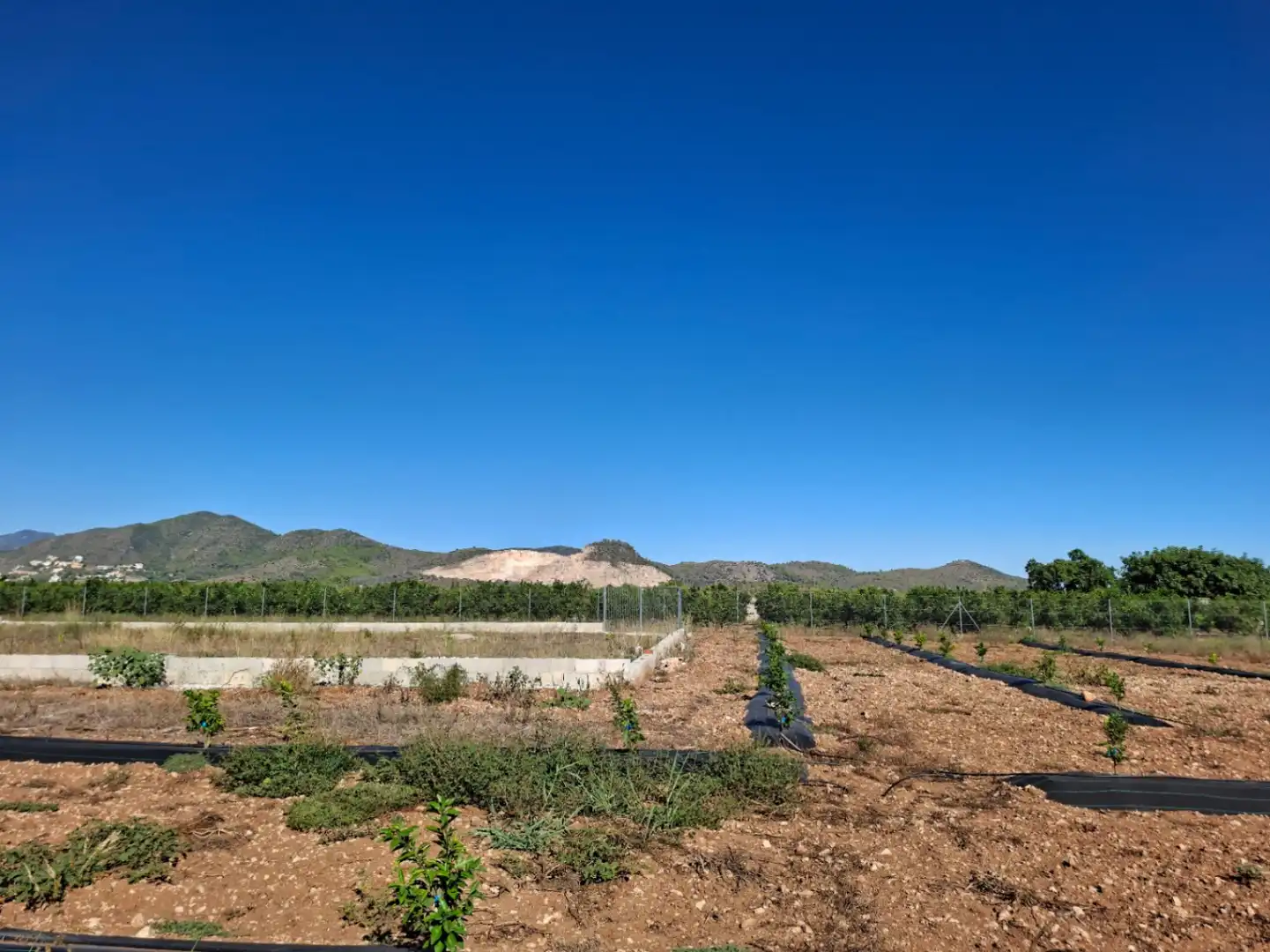 Terreny residencial en venda a Pego, imagen 19