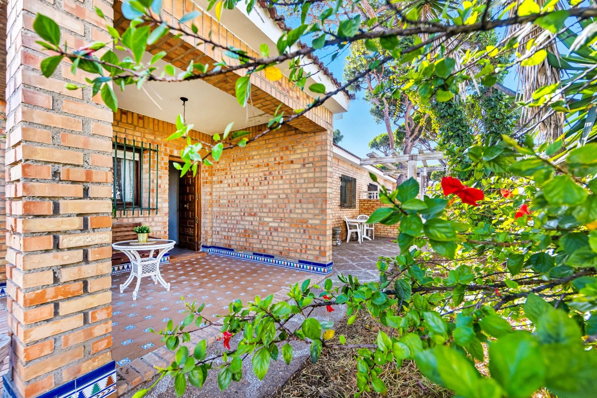 Jardí de Casa o xalet en venda en Chiclana de la Frontera amb Jardí privat, Terrassa i Traster